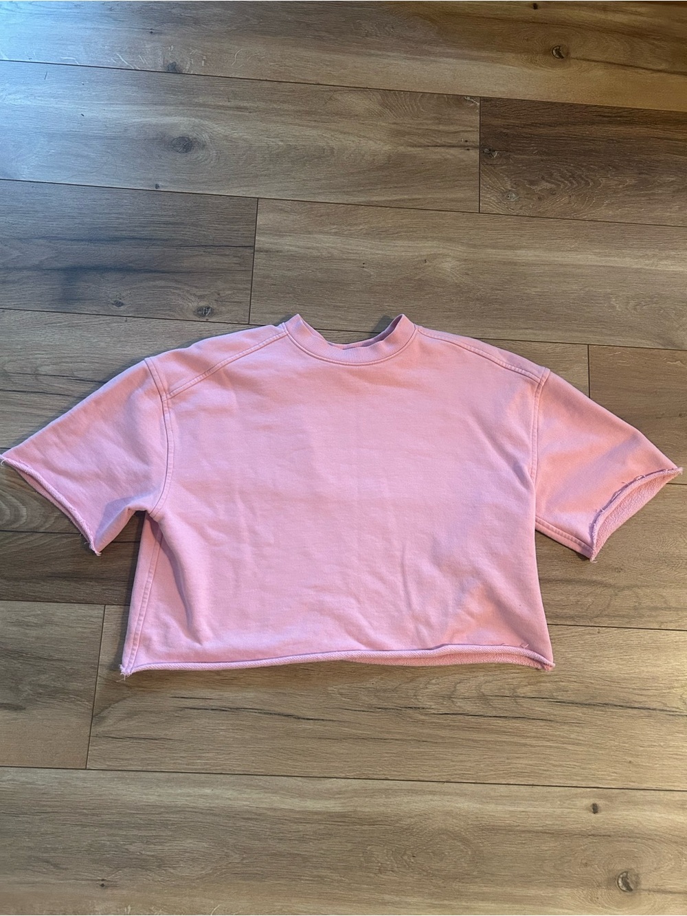 Everlane Short Sleeve Sweatshirt — Pink